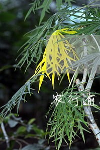 农行逾期还款的信用卡 农行逾期还款的信用卡