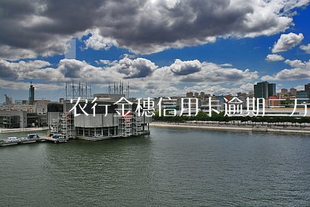 农行金穗信用卡逾期三万一个月 农行金穗信用卡逾期三万一个月
