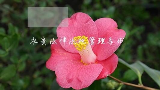 农资法律法规管理条例 农资法律法规管理条例