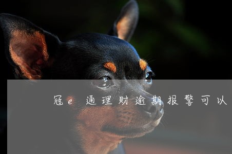 冠e通理财逾期报警可以吗 冠e通理财逾期报警可以吗