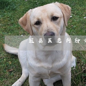 冠县医患纠纷诉讼律师刘兆旭