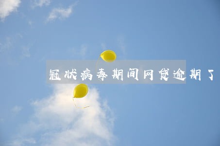 冠状病毒期间网贷逾期了 冠状病毒期间网贷逾期了