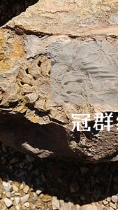 冠群线下理财逾期 冠群线下理财逾期