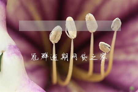冠群逾期网贷之家 冠群逾期网贷之家