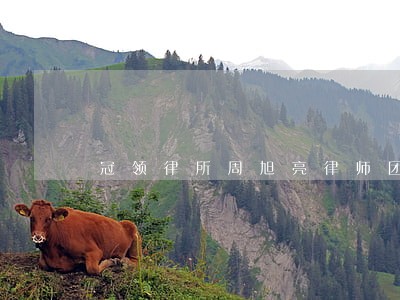 冠领律所周旭亮律师团队来河北了