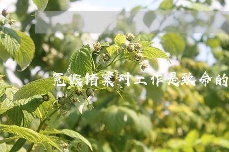冤假错案对工作是致命的 冤假错案对工作是致命的