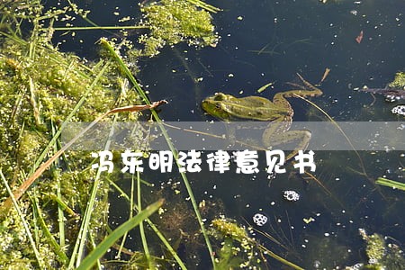 冯东明法律意见书