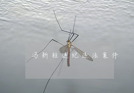 冯新柱违纪违法案件 冯新柱违纪违法案件