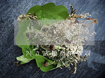 冯立法投资的公司