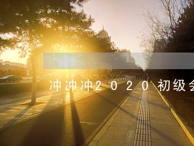 冲冲冲2020初级会计经济法 冲冲冲2020初级会计经济法