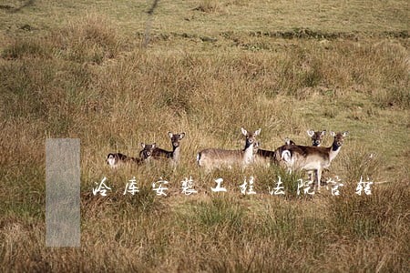 冷库安装工程法院管辖 冷库安装工程法院管辖