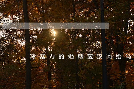 冷暴力的婚姻应该离婚吗 冷暴力的婚姻应该离婚吗