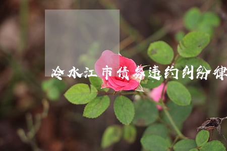 冷水江市债务违约纠纷律师网站 冷水江市债务违约纠纷律师网站