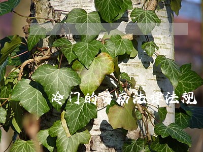 冷门的劳动法律法规