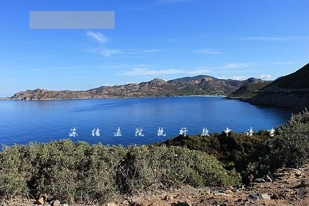 冻结法院执行款申请书