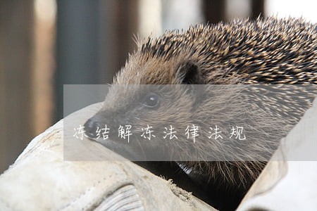 冻结解冻法律法规 冻结解冻法律法规