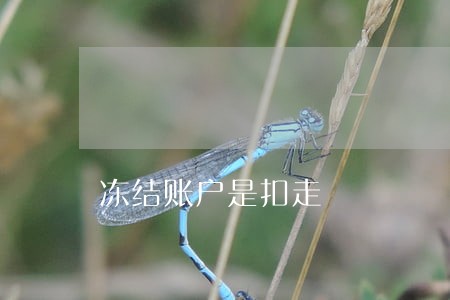 冻结账户是扣走