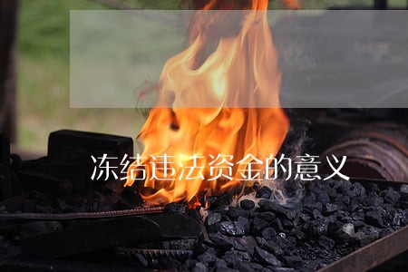 冻结违法资金的意义 冻结违法资金的意义