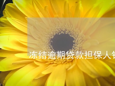 冻结逾期贷款担保人银行卡 冻结逾期贷款担保人银行卡