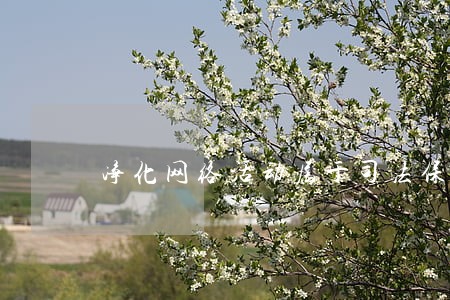净化网络活动属于司法保护