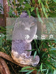 净身出户的起诉离婚范本