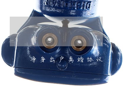 净身出户离婚协议 净身出户离婚协议