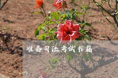 准备司法考试书籍