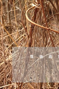 准备离婚的女人打3个小时电话 准备离婚的女人打3个小时电话