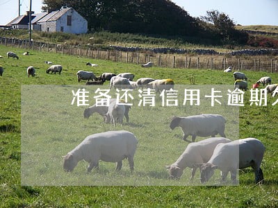 准备还清信用卡逾期欠款 准备还清信用卡逾期欠款
