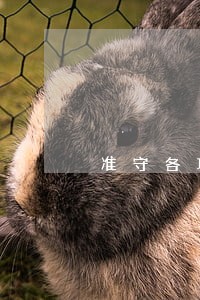 准守各项法规图片卡通 准守各项法规图片卡通