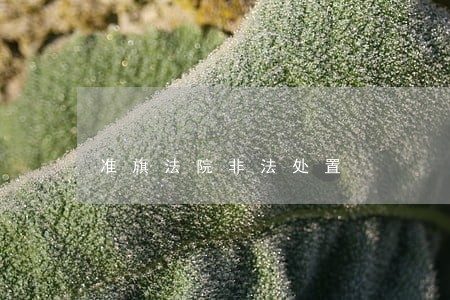 准旗法院非法处置 准旗法院非法处置