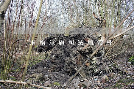 准格尔旗司法局领导 准格尔旗司法局领导