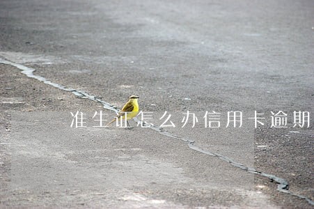 准生证怎么办信用卡逾期 准生证怎么办信用卡逾期