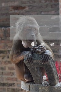 准确确认信用卡逾期 准确确认信用卡逾期