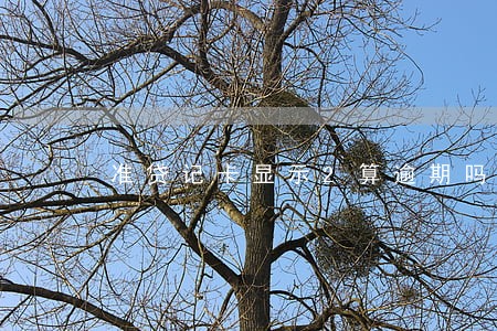 准贷记卡显示2算逾期吗 准贷记卡显示2算逾期吗