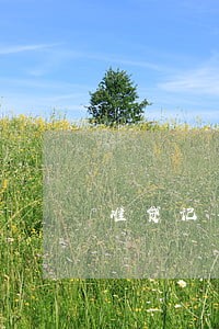 准贷记卡逾期显示12 准贷记卡逾期显示12
