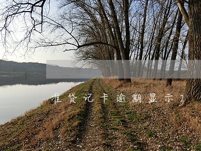 准贷记卡逾期显示2 准贷记卡逾期显示2