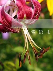 准贷记卡逾期记录2年 准贷记卡逾期记录2年