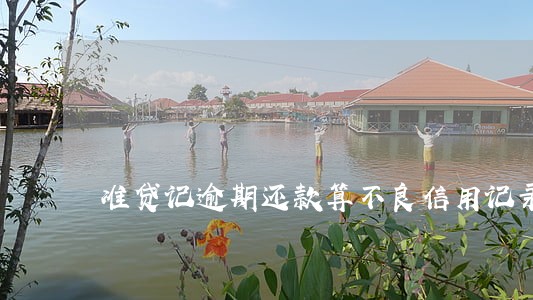 准贷记逾期还款算不良信用记录吗 准贷记逾期还款算不良信用记录吗