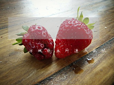凉城派出所违法乱纪