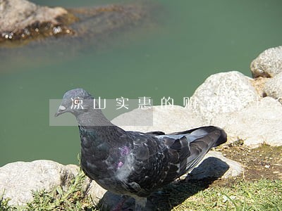 凉山实惠的购销商事合同律师 凉山实惠的购销商事合同律师