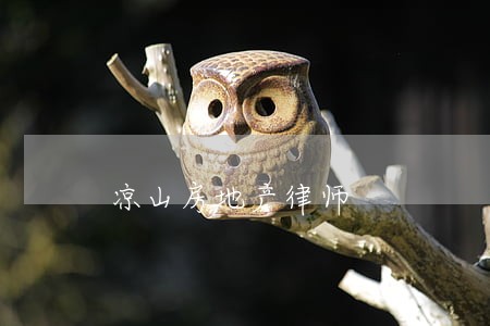 凉山房地产律师 凉山房地产律师