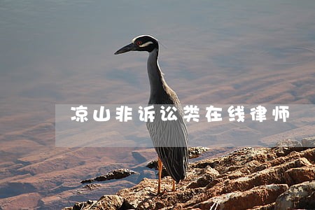 凉山非诉讼类在线律师