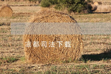 凉都司法下载 凉都司法下载