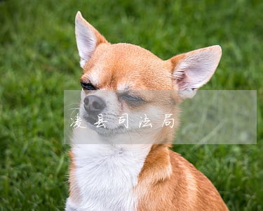 凌县司法局