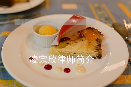 凌宗欣律师简介 凌宗欣律师简介