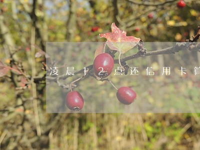 凌晨12点还信用卡算不算逾期