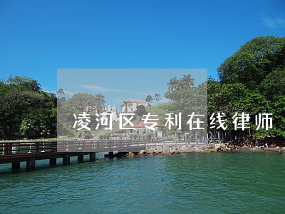 凌河区专利在线律师 凌河区专利在线律师