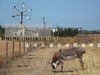 凌河区涉外仲裁律师在线免费咨询