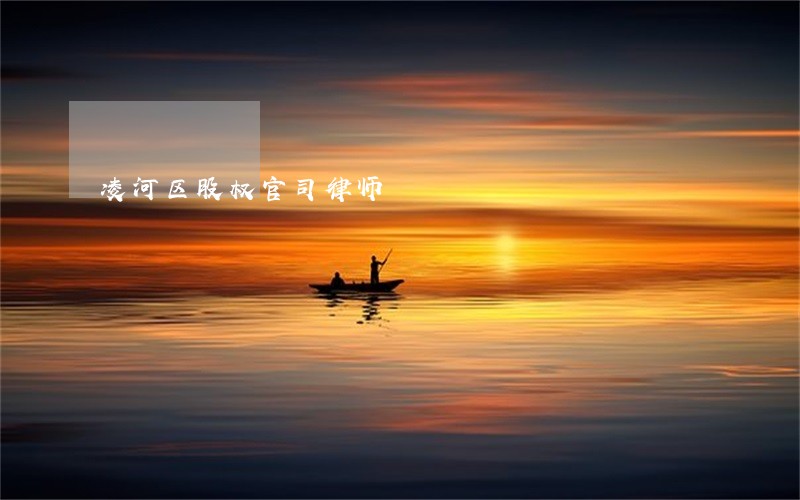 凌河区股权官司律师